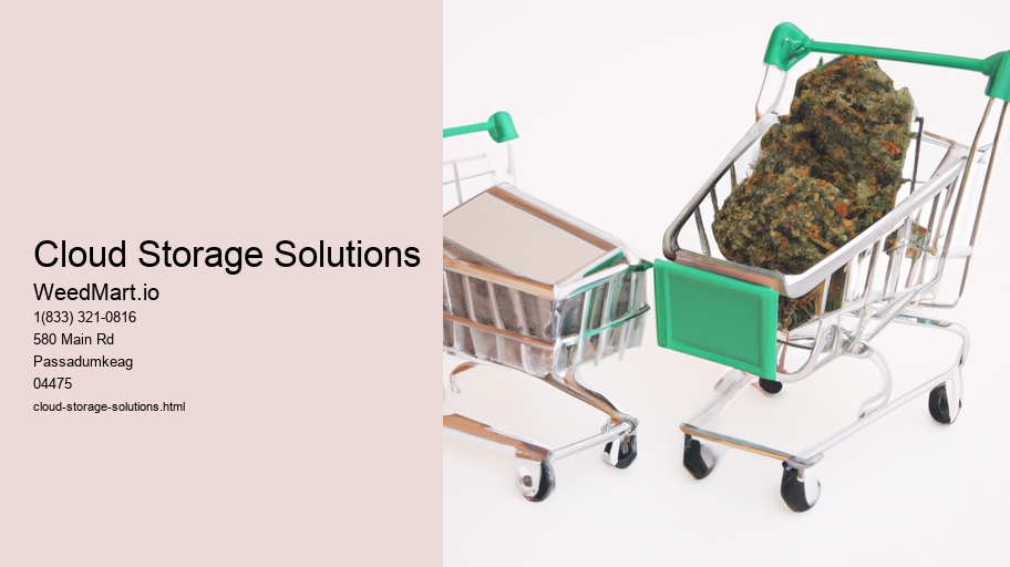 Cloud Storage Solutions