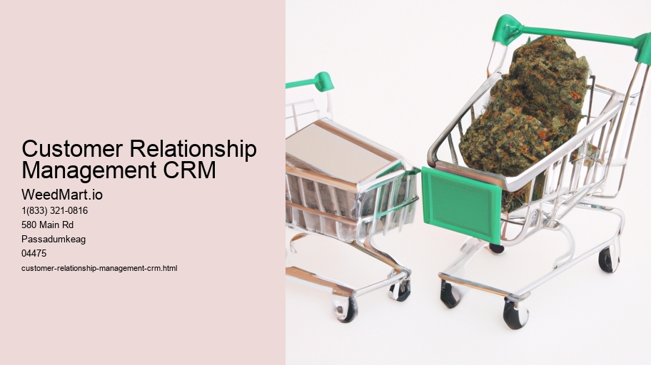 Customer Relationship Management CRM